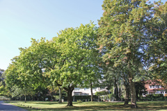 hamburg wellingsbuettel barkenkamp park